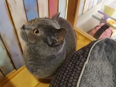 -小时光咖啡馆(开森度假森林店)