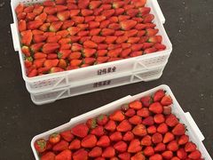 -西郊国际农产品交易中心