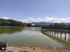 -中华三祖圣地黄帝城遗址文化旅游区