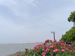 -上海滨江森林公园