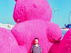 -秦皇岛乐岛海洋王国