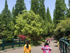 -东平国家森林公园