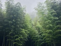 -黄公望隐居地