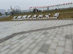 -洋湖国家湿地公园