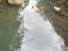 -石台牯牛降景区