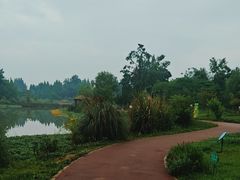 -桤木河湿地公园