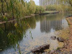 -长春公园(普阳街道)