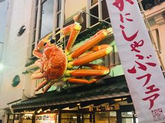 -蟹道乐(道顿堀本店)