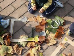 -北京市海淀区锦绣明天莲宝幼儿园