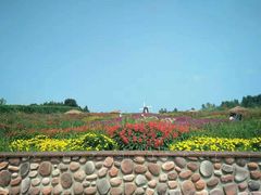 -北纬44度·金珠花海休闲农业旅游景区