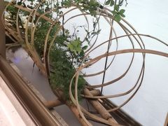 -宴长沙(五一广场店)