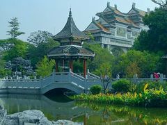 -顺峰山公园