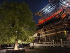 -香积寺