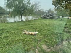 -上海野生动物园