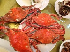 大螃蟹-小铜锣湾海鲜家常菜馆(河西店)