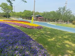 -贡湖湾湿地公园
