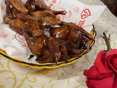 -百利鸽王(紫薇路店)