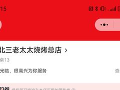 -北三老太太烧烤(人生一串上榜店)