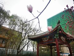 -西海子公园