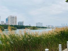 -南宁南湖公园