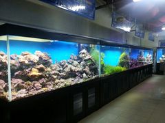 android_upload_pic-御唐府海珊瑚主题餐厅