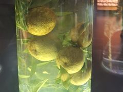 -广东中医药博物馆