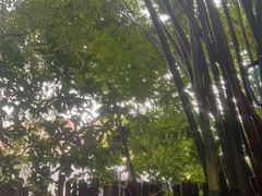 -花水湾第一村温泉大酒店