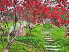 -广州市帽峰山景区
