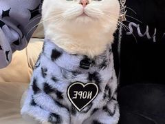 -老吴的猫·猫舍(新区店)