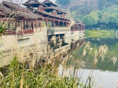 -重庆彩云湖湿地公园