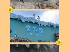 -珠海长隆海洋王国