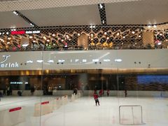 -TheRink大零溜冰场(IFS国金中心店)