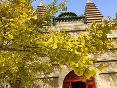 -北京石刻艺术博物馆(五塔寺)