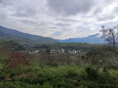 -塔川景区