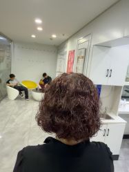 点击看大图 -镁连社·美联社