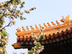 -故宫博物院(故宫)