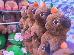 -星际传奇(观澜湖新城店)