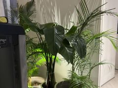 -YCHL FIT 健身(星寰店)