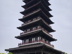 -宜兴龙背山森林公园