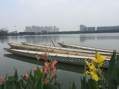 -顺峰山公园