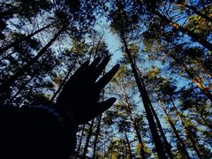 -帽儿山国家森林公园