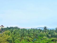 -三亚海棠湾万丽度假酒店