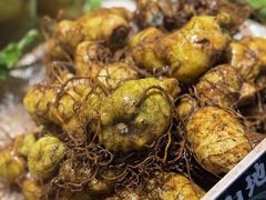 黄精-滇铺子·云南特色菜·第九届野生菌美食节(东风东路c86店)