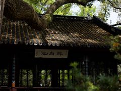 -上海醉白池公园