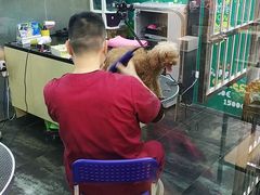 -美联众合动物医院(唯恩分院)
