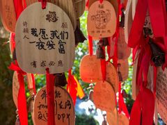 -莫里热带雨林景区