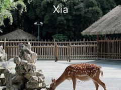 -金沙遗址博物馆
