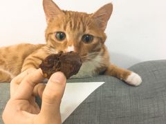 -周黑鸭(宝安中心店)