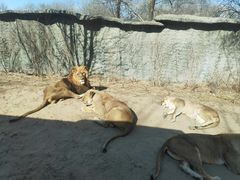 -北京野生动物园