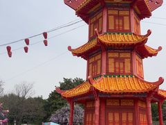 -洛阳市隋唐城遗址植物园